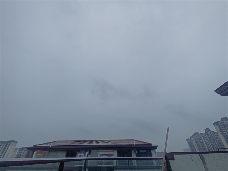 IMG_20241008_134547.jpg