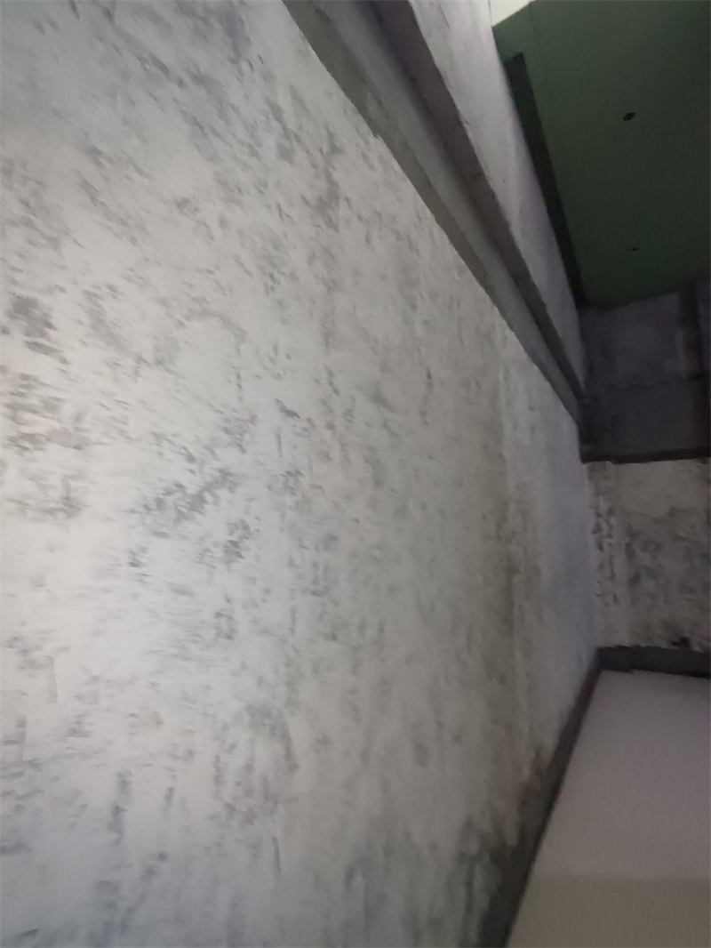 IMG_20241008_150132.jpg