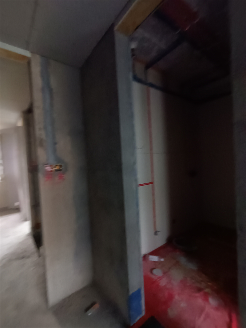 IMG_20241008_151431.jpg