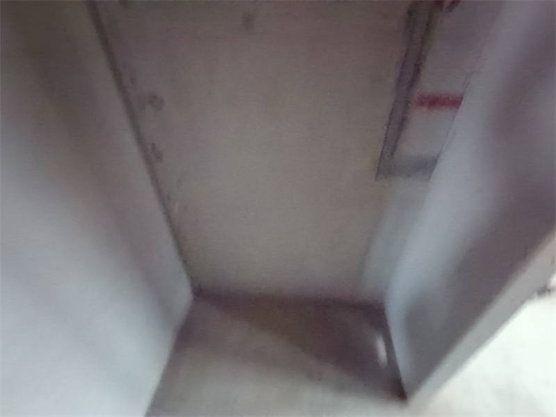 IMG_20241008_155504.jpg
