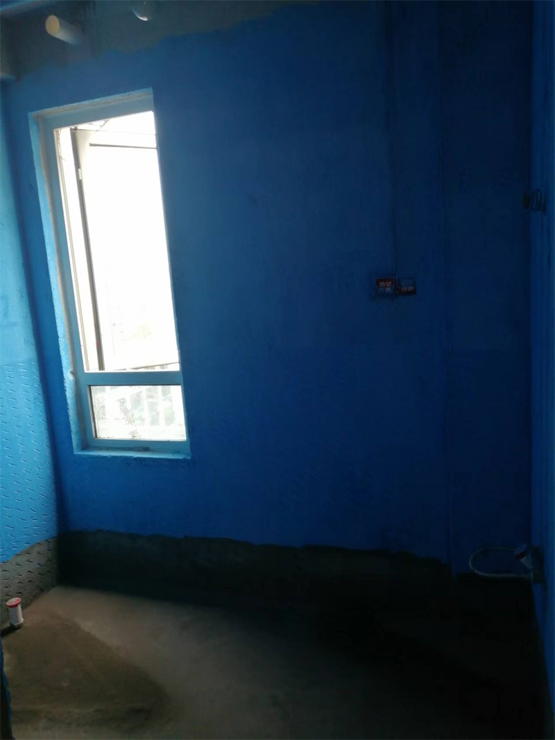 mmexport1728476484555.jpg