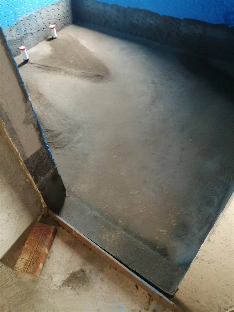 mmexport1728476491750.jpg