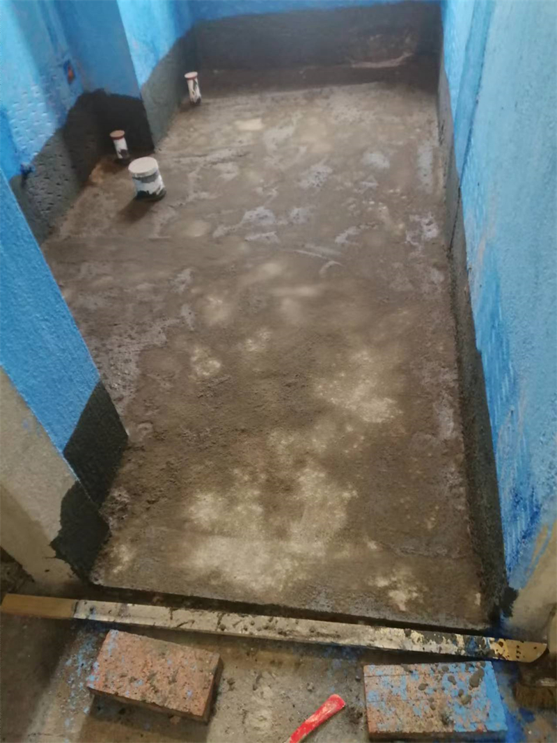 mmexport1728476482595.jpg