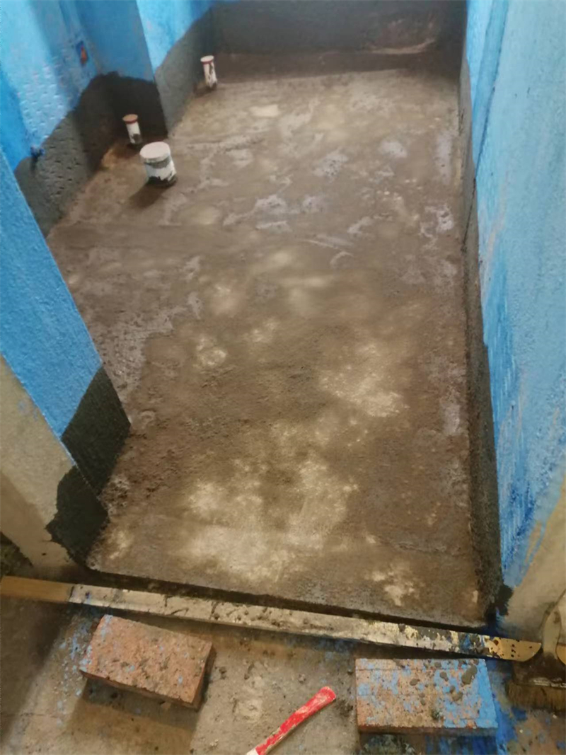 mmexport1728476479690.jpg
