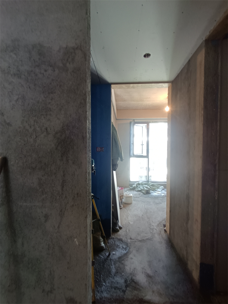 IMG_20241010_095242.jpg
