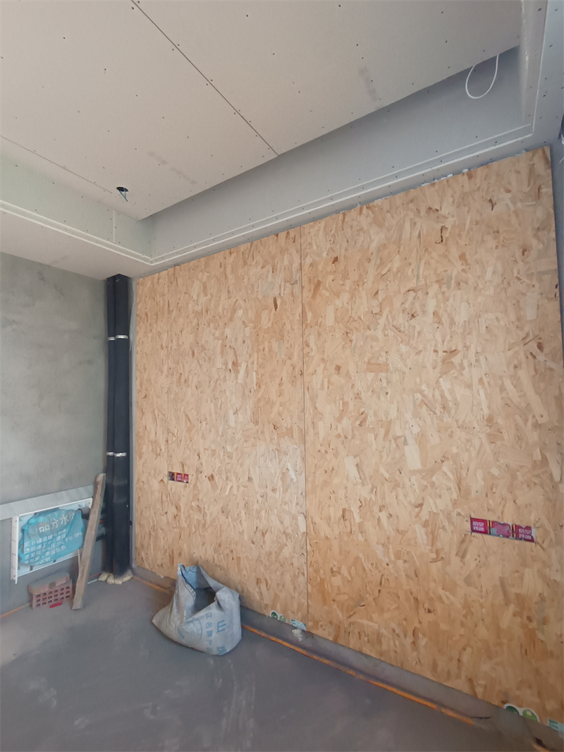 IMG_20241010_082544.jpg