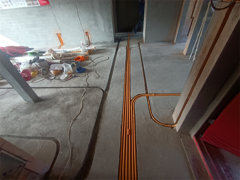 IMG_20241011_084004.jpg