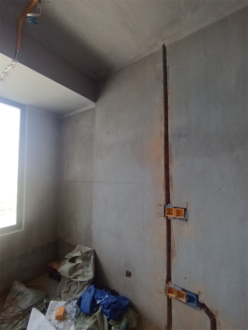 IMG_20241011_093628.jpg