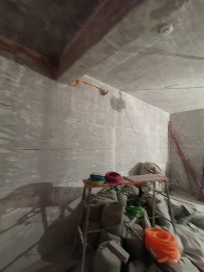 IMG_20241011_111155.jpg