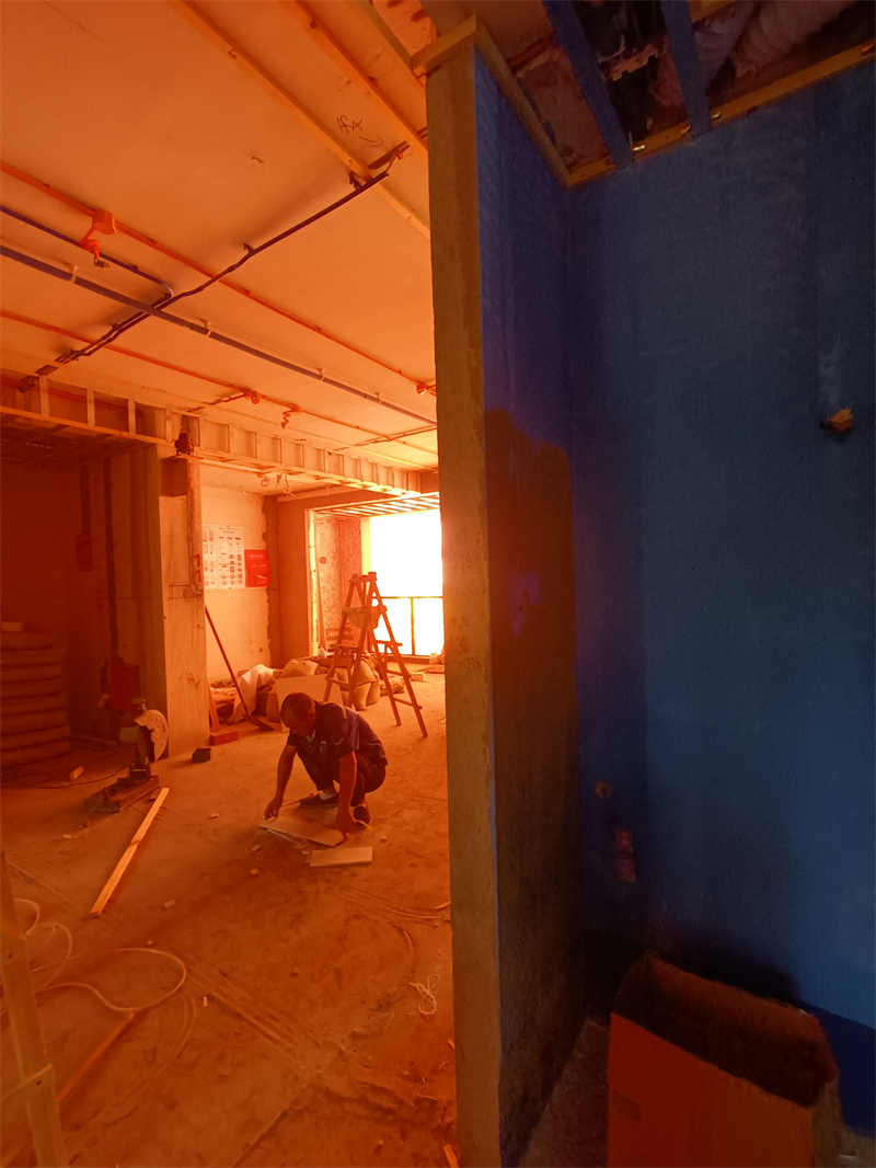 IMG_20241011_112237.jpg