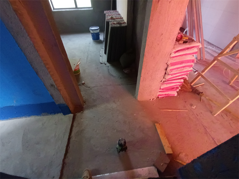 IMG_20241011_112248.jpg