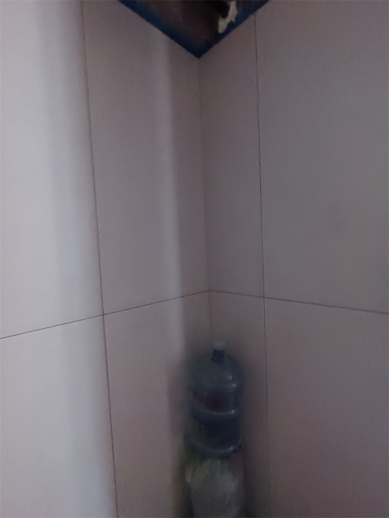 IMG_20241011_120431.jpg