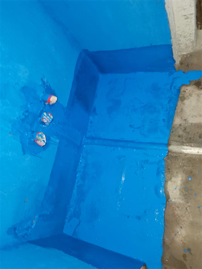 mmexport1728816443331.jpg