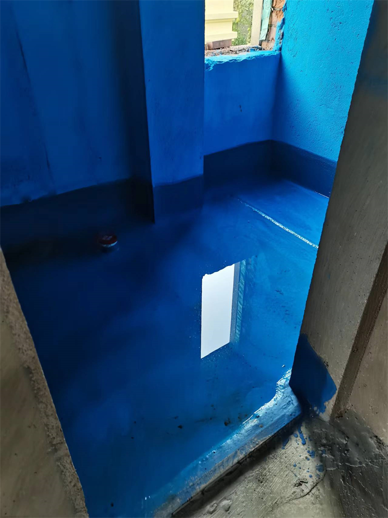 mmexport1728891172565.jpg