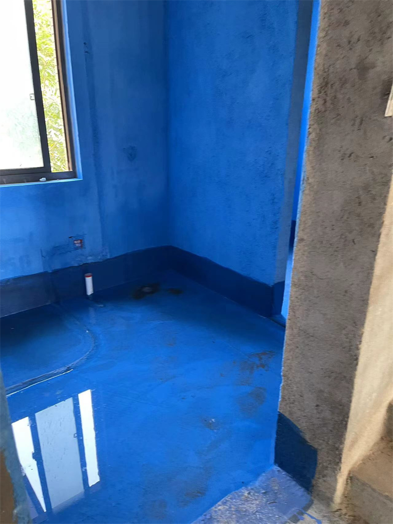mmexport1728891184857.jpg