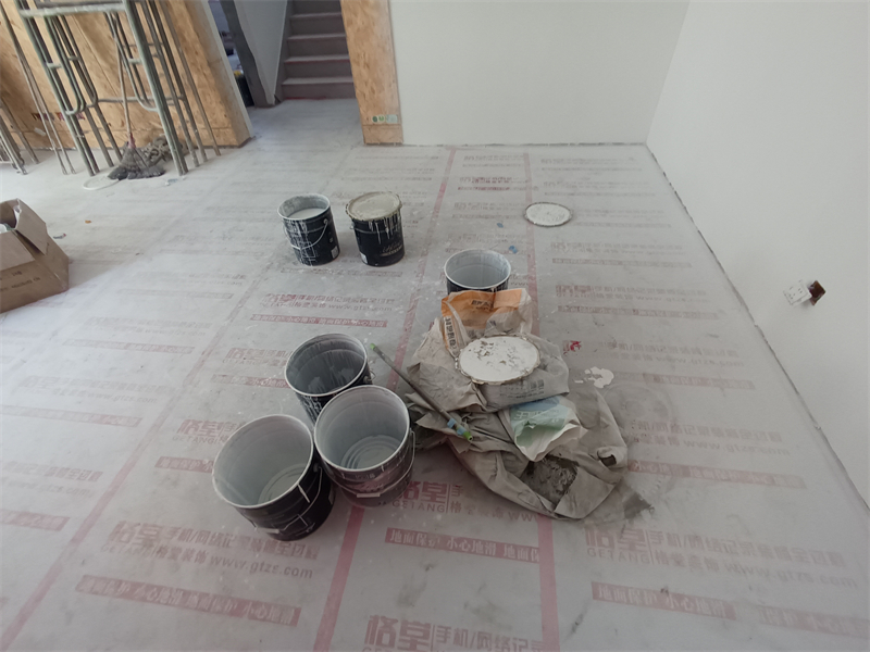IMG_20241014_081751.jpg