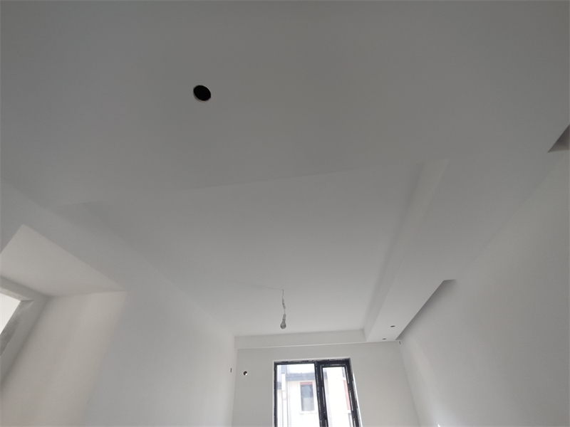 IMG_20241014_082521.jpg