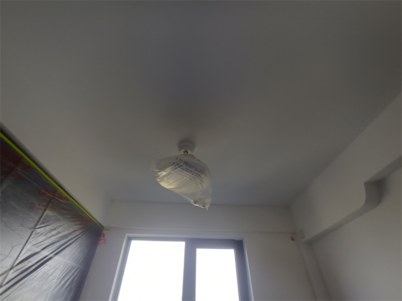 IMG_20241014_104246.jpg