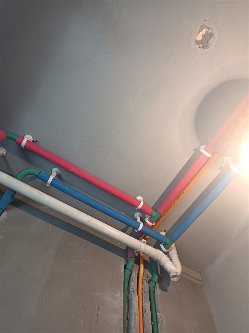 IMG_20241014_124407.jpg