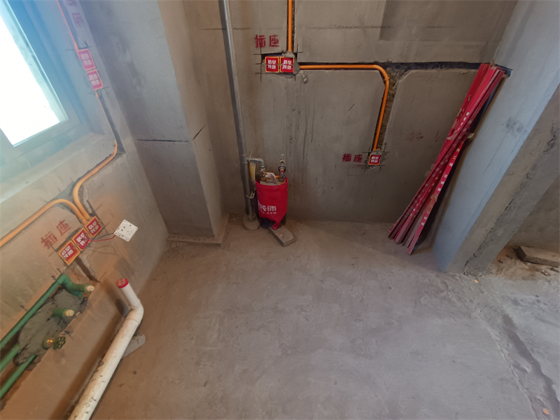 IMG_20241014_124531.jpg