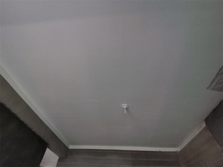 IMG_20241015_091655.jpg