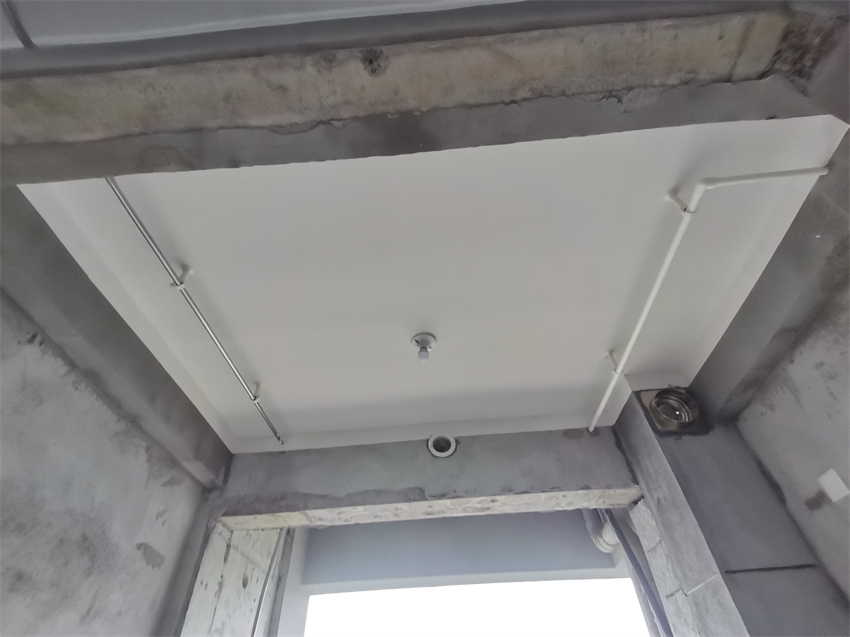IMG_20241015_081512.jpg