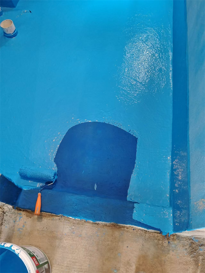 mmexport1728966469826.jpg