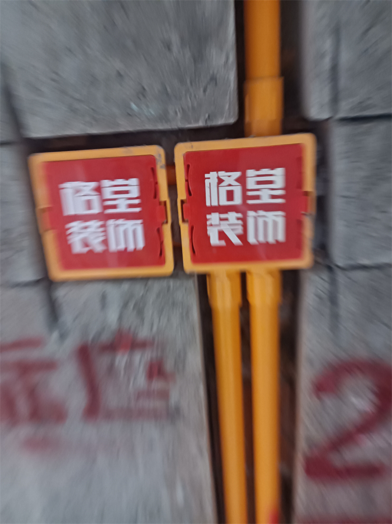 IMG_20241007_074537.jpg