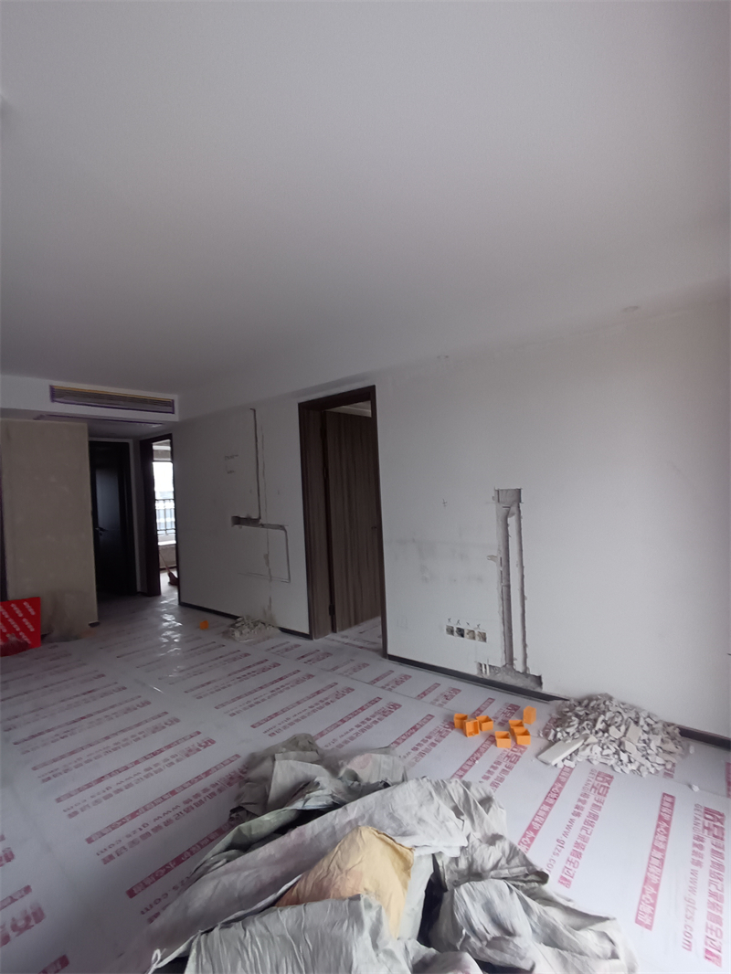 IMG_20241017_092010.jpg