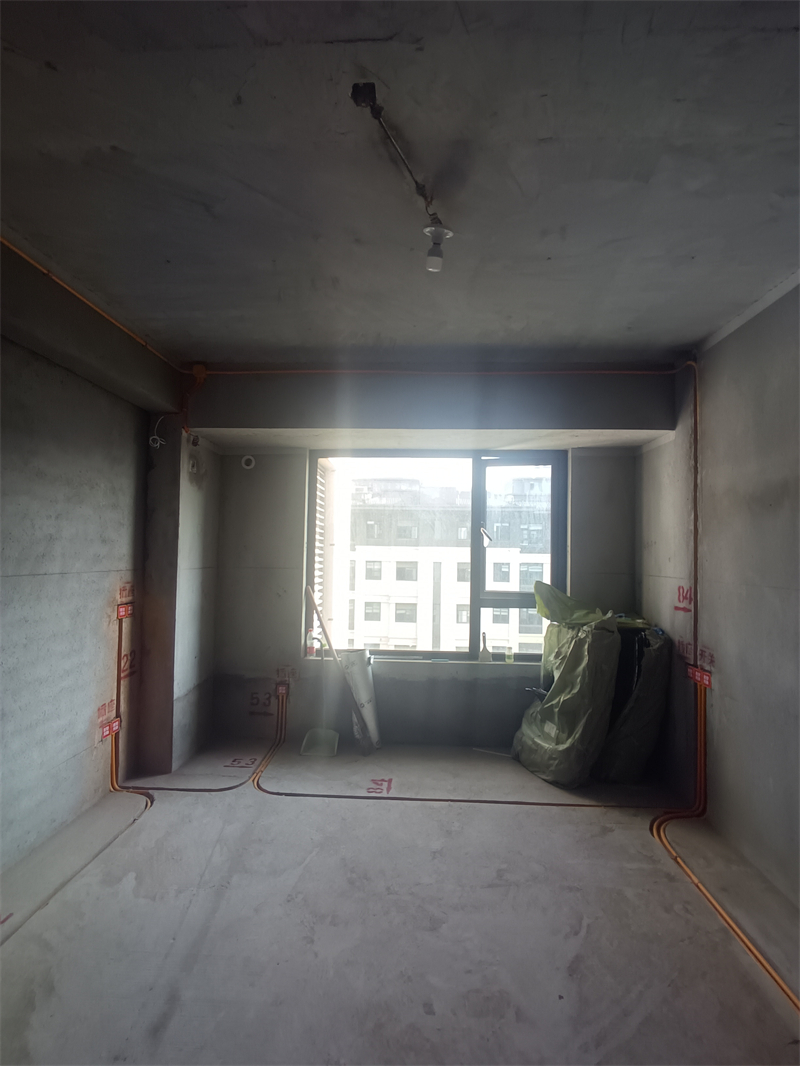 IMG_20241017_143754.jpg