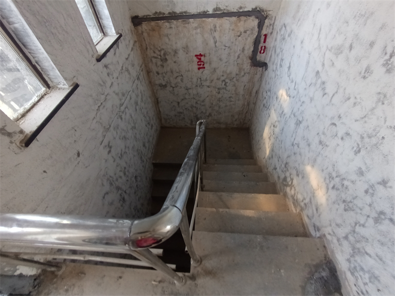 IMG_20241018_105438.jpg