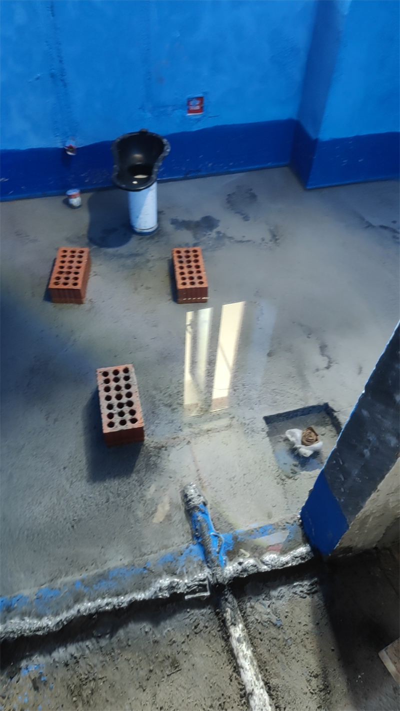 mmexport1729297633341.jpg