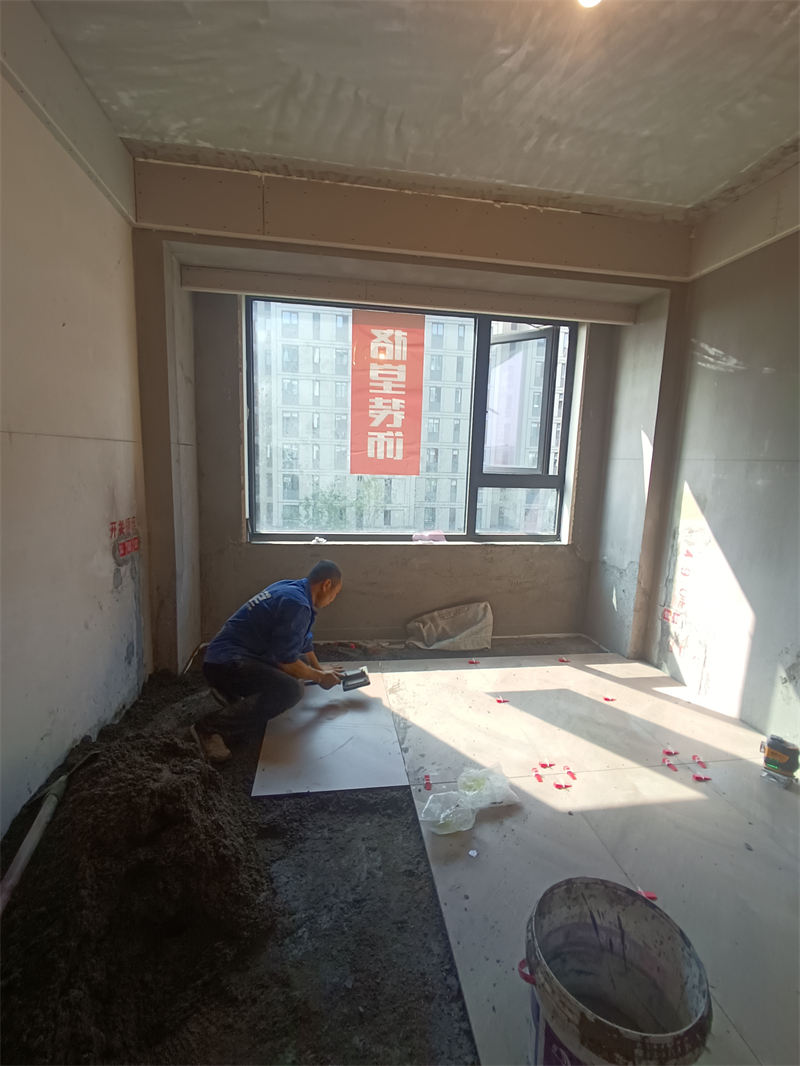 IMG_20241018_095126.jpg