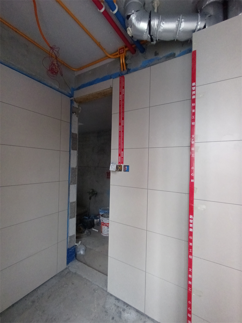 IMG_20241021_085603.jpg