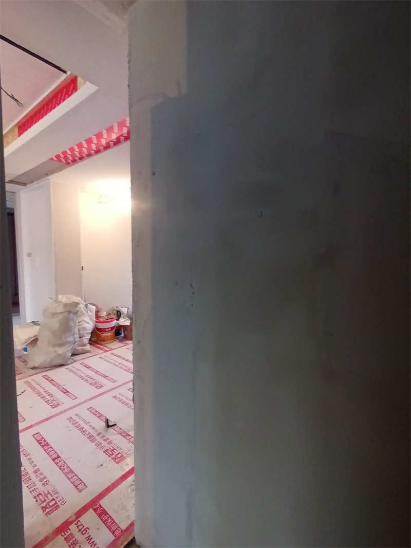 IMG_20241022_081635.jpg
