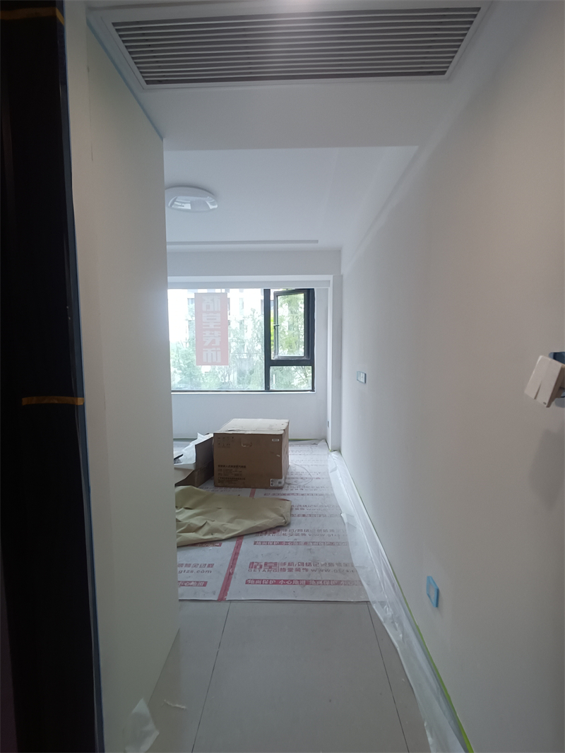 IMG_20241025_111606.jpg