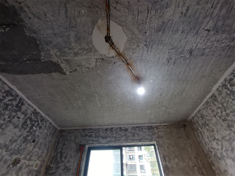IMG_20241025_151436.jpg