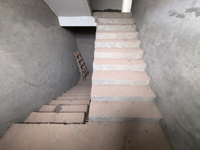 IMG_20241028_083144.jpg