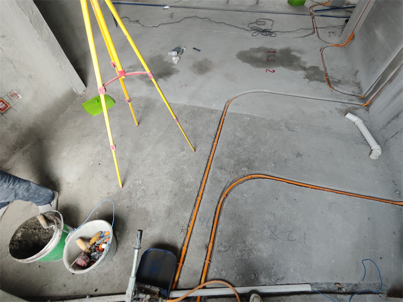 IMG_20241004_161620.jpg