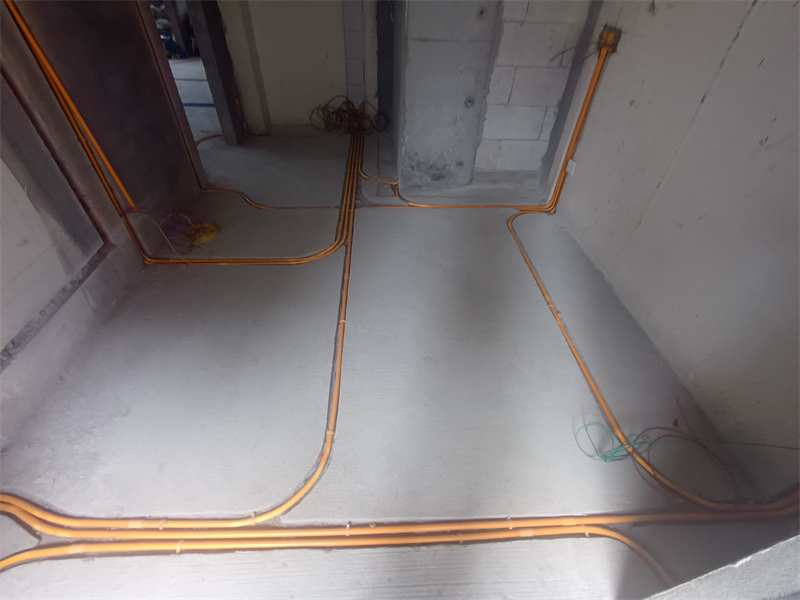 IMG_20241027_122404.jpg