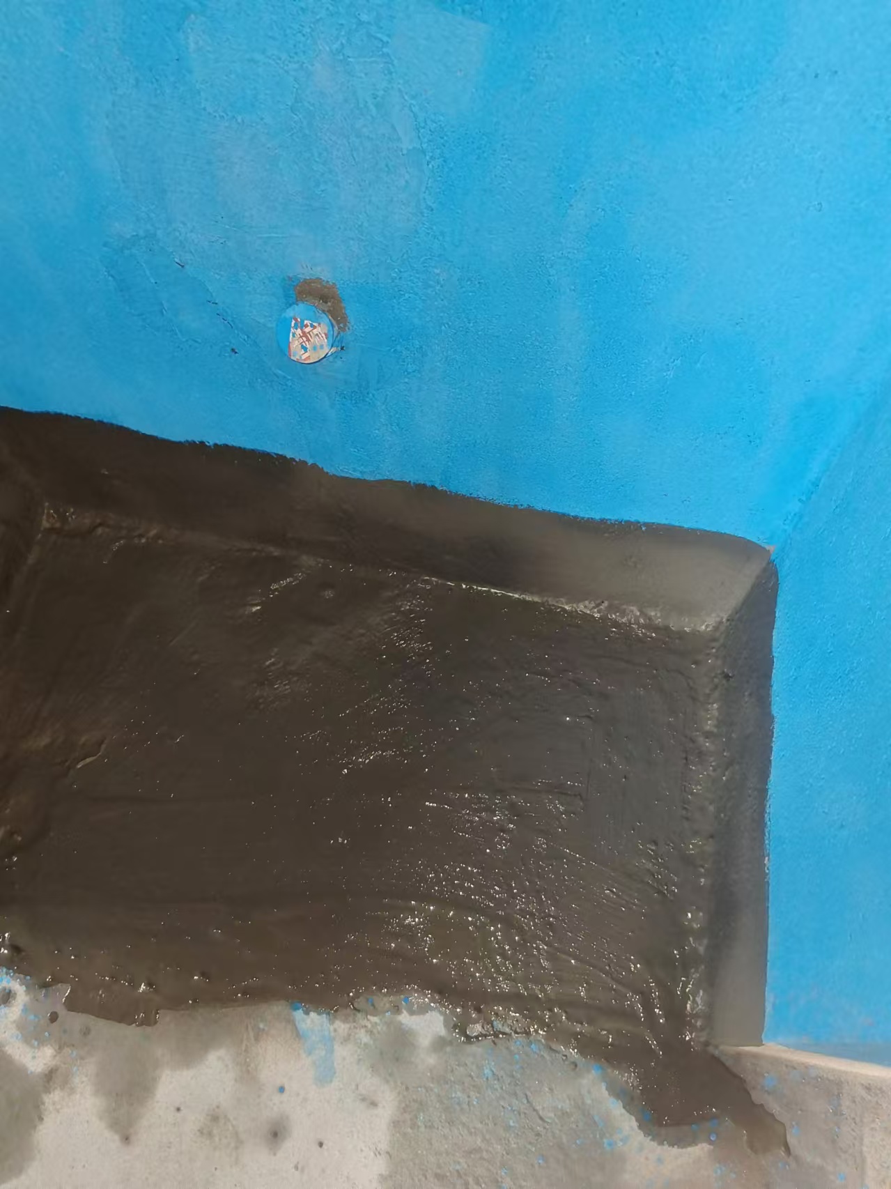 mmexport1729931007381.jpg