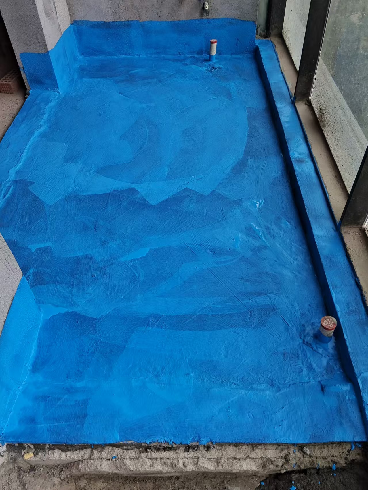 mmexport1729931042543.jpg