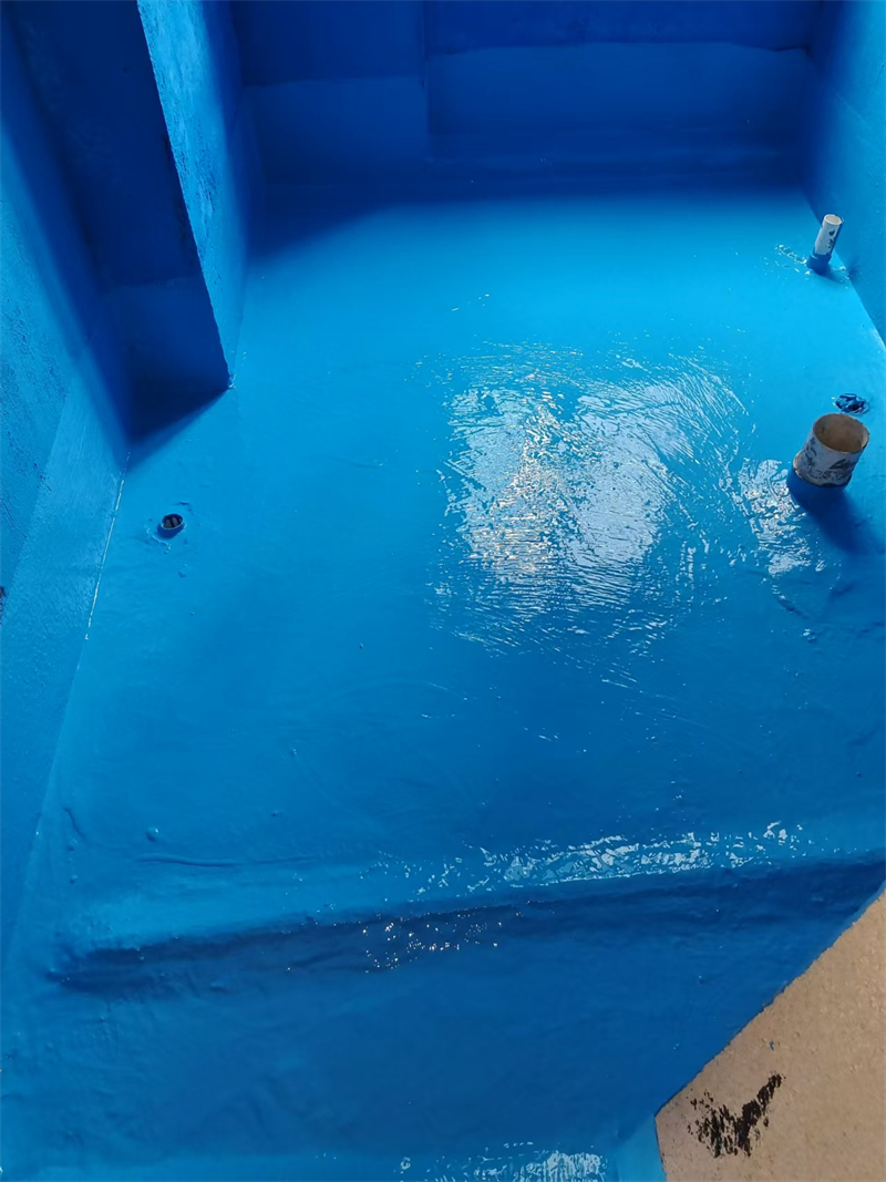 mmexport1730120910121.jpg
