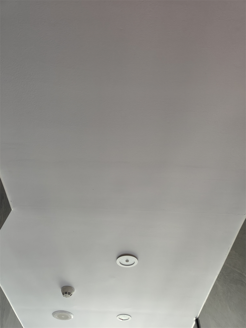 IMG20241029084136.jpg