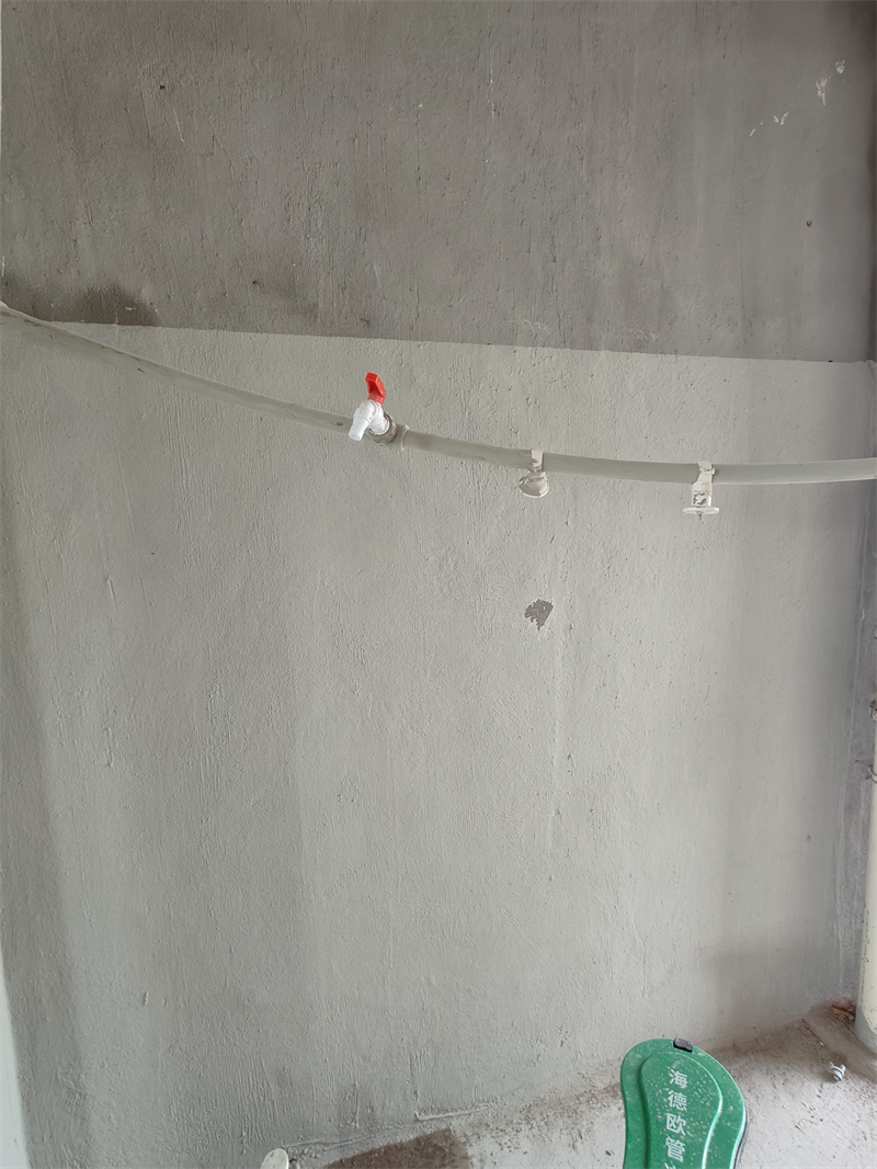 IMG20241029090411.jpg