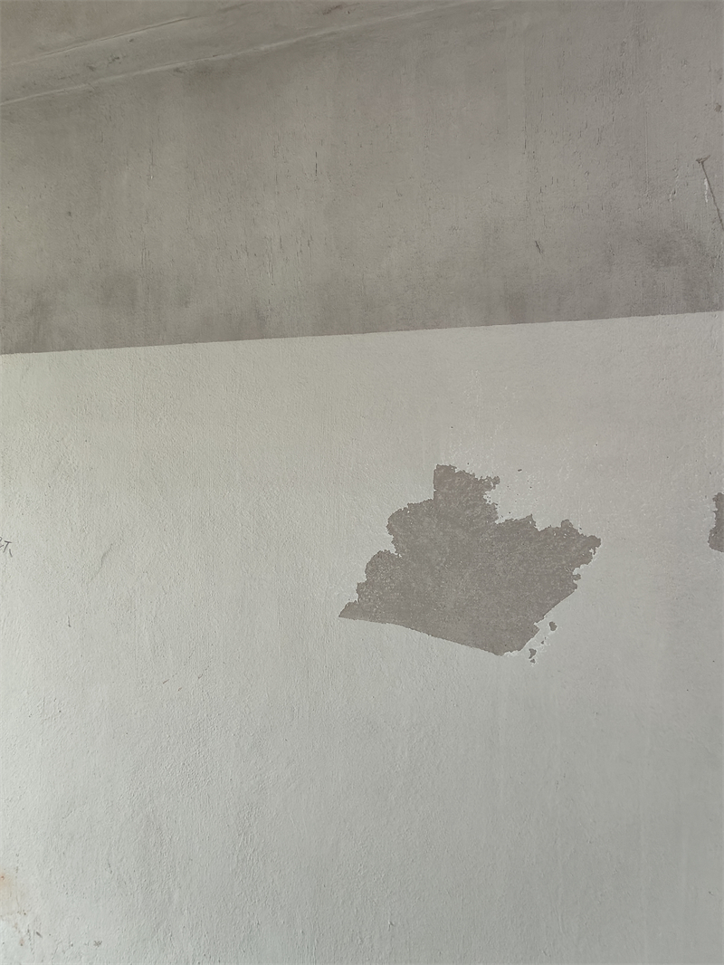 IMG20241029090419.jpg