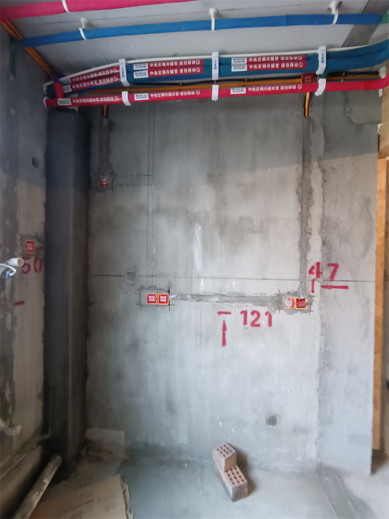IMG_20241029_083928.jpg