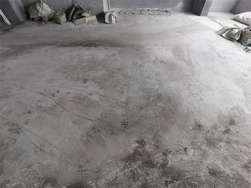 IMG_20241029_085546.jpg