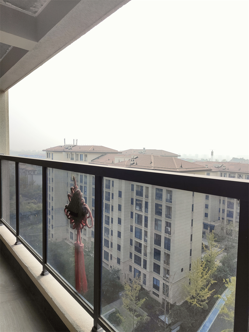 IMG20241029091046.jpg