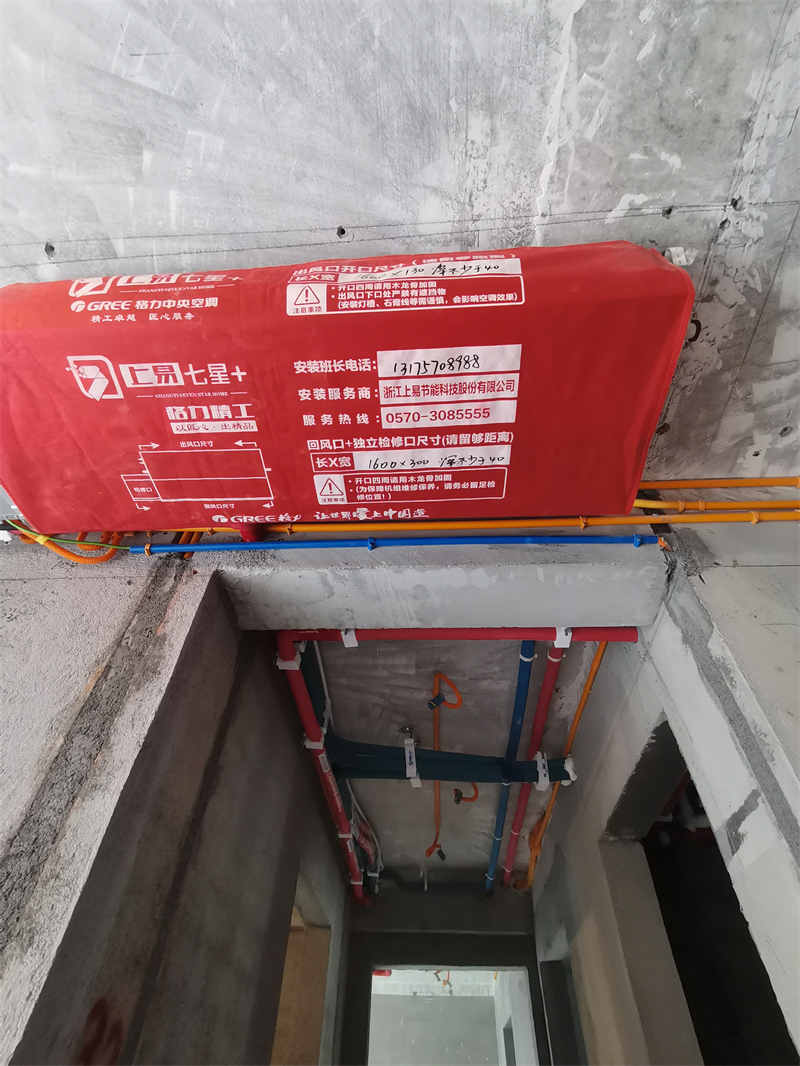 IMG_20241029_105446.jpg